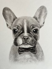 Portrait of a French Bulldog dog. Handmade 12x16 in picture