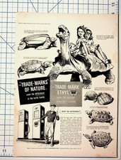 Vintage ETHYL Gasoline Ad Turtle Tortoise Natural History Magazine Page picture