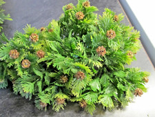 Vintage 1960's-70's Artificial Plastic Flower Picks Greenery Glitter Pinecones picture