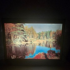 Vintage 1950s Helmscene Lighted Picture Shadow Box No 125 Norway Pines Lake WORK picture