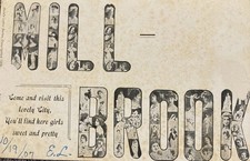 1907 Ad Boasting Where The Pretty Girls Are Millbrook NY Postcard Lots Of Faces picture
