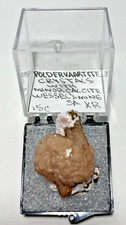 Exquisite VERY Rare Poldervaartite (Olmiite variety) & minor Calcite. S.A. picture