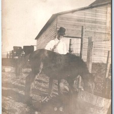 c1910s Aberdeen, SD Man Bowler Hat Horse Barn Feed Trough RPPC Photo Postcard picture