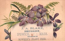 1880s-90s Purple Flowers JA Blake Druggist Ipswich MA Bowker's Plant Trade Card picture