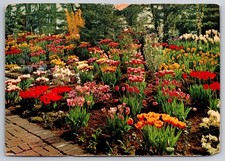 Postcard 1960 Floriade International Horticultural Exhibition Rotterdam, Holland picture