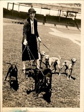 GA222 1927 Original Underwood Photo DOROTHY GREENE DOGS ARRIVE FOR WHIPPET DERBY picture