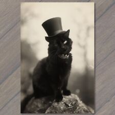 POSTCARD Cat in Hat Weird Beautiful Black Strange Cute Fun Humanized Kitten picture