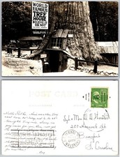 RPPC World Famous Tree House Leggett CA Photo Postcard picture