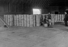 Cheese in warehouse at wharf in Belleville Ontario ca 1911 Old Photo picture