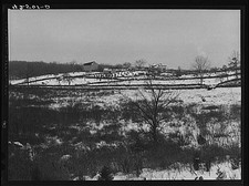 Ledyard,Farm Security Administration,New London County,Connecticut,CT,1940,FSA picture