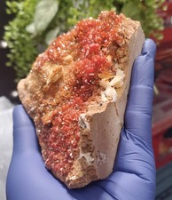 Vanadinite Crystals on Matrix - Mibladen, Morocco (458g) picture