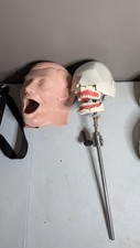 VTG Columbia Dentoform Dental Phantom Head Display W/ Pole - Metal Shroud (#6) picture