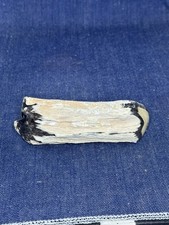 Blue Forest Petrified Wood Display Piece ( Wyoming) picture