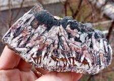 Mirror Polished Barite picture