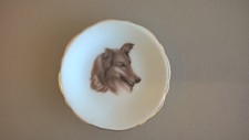 Collie Dog Miniature 2.5