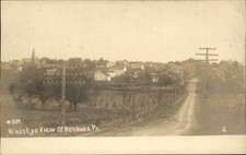 Newburg PA Bird's Eye View c1900s-10s Real Photo Vintage Postcard bhn picture