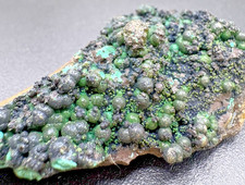 Natural Green & Black Botryoidal Mineral Specimen on Matrix Rock picture