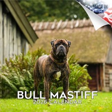 BULL Mastiff Wall Calendar 2026 Animal DOG PET Lover Gift picture
