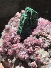 Malachite on Cobaltoan Dolomite from Kakanda Mine, Lubudi, Congo, 65gm, picture