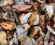 Crazy Lace Agate - Rough Rocks for Tumbling - Bulk Wholesale 1LB options picture