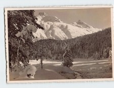 Postcard Wintermorgen am Statzersee Switzerland picture