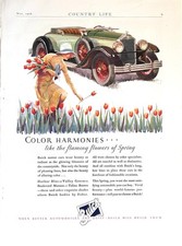 1928 Ad (10  X 14 inches) Buick Roadster picture
