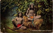 * Antique DB Postcard Veddahs Indigenous Sri Lanka Wild Men Of Ceylon c1900s picture