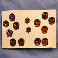 RARE VINTAGE - Oldsmobile Vanguard Pins picture