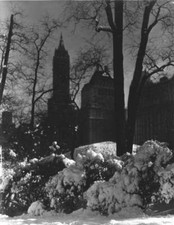 Winter in Central Park New York 1929 Historic Old Photo 2 picture