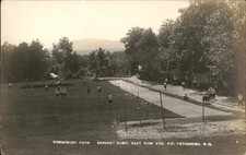 Peterboro NH Monadnock E. D. Putnam c1900s-10s Real Photo Vintage Postcard picture