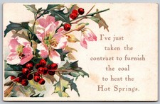 Hot Springs Coal Contract Winter Flowers Berries Postcard PC300 picture