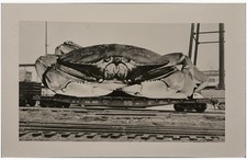 By The Sea Oregon Exaggerated RPPC Postcard 1954 Posted picture