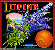 La Verne Lordsburg Lupine Flowers Orange Citrus Fruit Crate Label Art Print picture