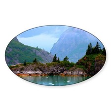CafePress Feeling A Little Icy Sticker (Oval) (1623597999) picture