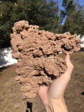 Rare large 2.8 Lbs Fulgurite Lightning Stone Florida 2.8 Pound Rough Raw Mineral picture