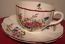 ANTIQUE PORCELAIN CUP/SAUCER W.S.GEORGE EAST PALESTINE FLOWERS picture