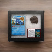 Carracosta Pokémon Card With Authentic Turtle Fossil Fragment In Display W 	COA picture