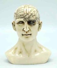 Phrenology Head 6
