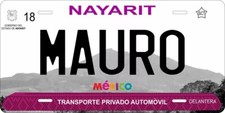 Nayarit 2017 Custom State License Plate Personalized 12
