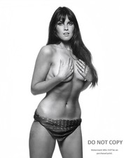 ACTRESS CAROLINE MUNRO PIN UP - 8X10 PUBLICITY PHOTO (SP-335) picture