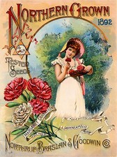 1892 Pink Carnations Vintage Flowers Seed Packet Catalogue Advertisement Poster  picture