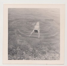 Lonely Young Man Swimmer Floating Face Down While Water Keeps Quiet Secret Gay picture