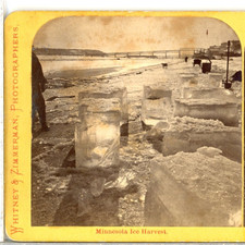 MINNESOTA, Ice Harvest, Cutting Blocks Of Ice--Zimmerman Stereoview U59 picture