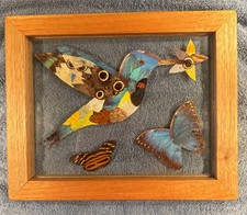 Vintage Butterfly Wing Humming Bird Art Framed 11 x 9 In Handmade Folk Art picture