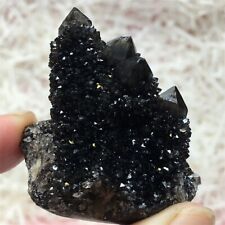 45.6g Rare SMOKY PHANTOM SPIRIT QUARTZ Fairy Cactus Crystal Mineral Cluster picture