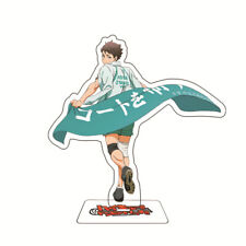 Haikyuu Oikawa Tooru Desktop Standing Board Figure Acrylic Decor Cosplay Gift picture