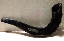 JEWISH RAM HORN TRADITIONAL KOSHER ROSH HASHANA POLISHED CERTIFIED SHOFAR ISRAEL picture