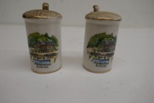 Vintage German Building  Ceramic  Salt & Pepper Shakers picture