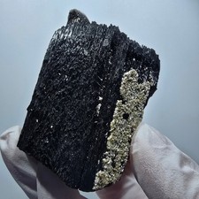 Rare schorl tourmaline, smoky quartz scepter, muscovite specimen Erongo, Namibia picture