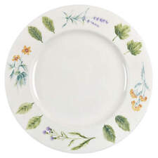 Mikasa Nature's Harmony  Dinner Plate 2311491 picture